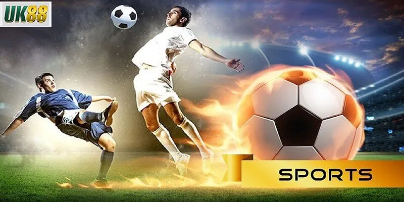 Kinh nghiệm soi kèo hiệu quả từ nhận định nhà cái