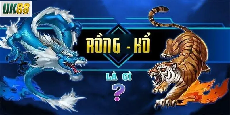 hướng dẫn chơi rồng hổ